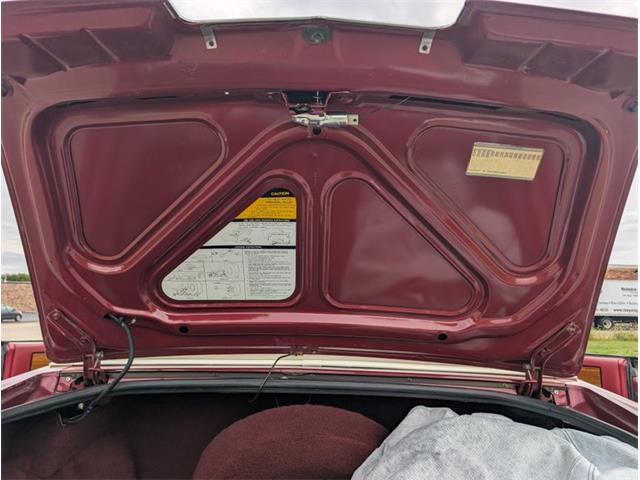 1985 Cadillac Eldorado (CC-2117208) for sale in Palmetto, Florida