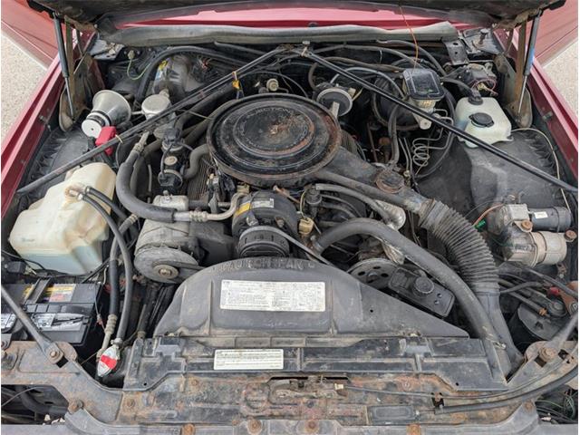 1985 Cadillac Eldorado (CC-2117208) for sale in Palmetto, Florida