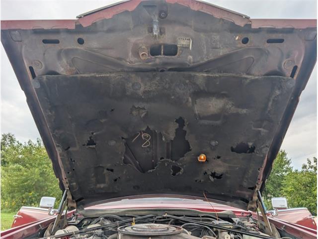 1985 Cadillac Eldorado (CC-2117208) for sale in Palmetto, Florida