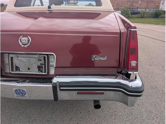 1985 Cadillac Eldorado (CC-2117208) for sale in Palmetto, Florida