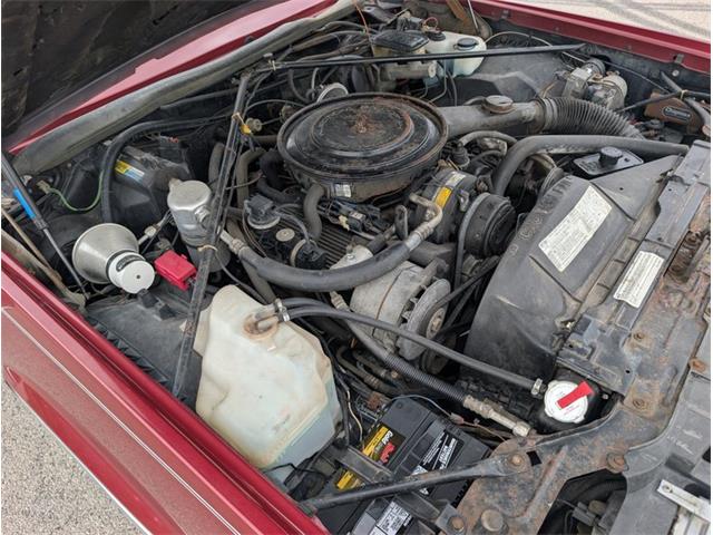 1985 Cadillac Eldorado (CC-2117208) for sale in Palmetto, Florida
