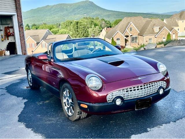 2004 Ford Thunderbird (CC-2117216) for sale in Cadillac, Michigan