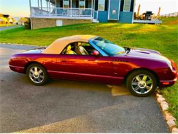 2004 Ford Thunderbird (CC-2117216) for sale in Cadillac, Michigan