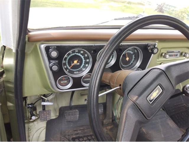 1969 Chevrolet C10 (CC-2117221) for sale in Cadillac, Michigan