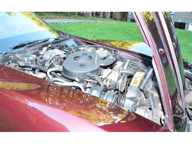 1982 Chevrolet Corvette (CC-2117227) for sale in Greensboro, North Carolina