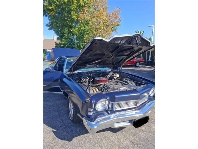 1973 Chevrolet Monte Carlo (CC-2117231) for sale in Cadillac, Michigan