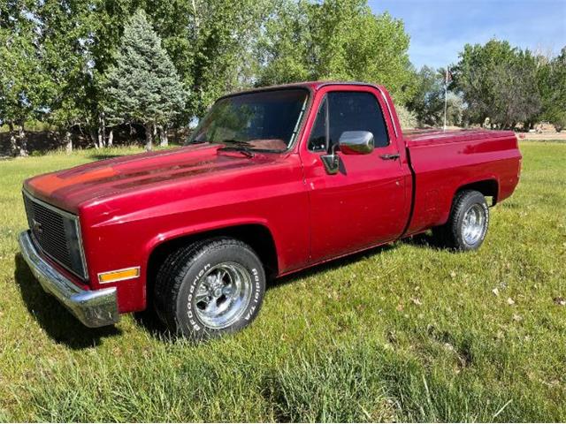 1982 GMC C/K 1500 (CC-2110727) for sale in Cadillac, Michigan