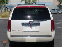 2007 Cadillac Escalade (CC-2117322) for sale in Mesa, Arizona