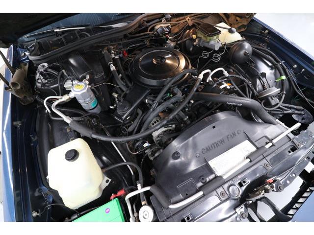 1988 Chevrolet Caprice (CC-2117455) for sale in Christiansburg, Virginia
