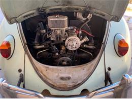 1965 Volkswagen Beetle (CC-2117487) for sale in Cadillac, Michigan