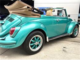 1971 Volkswagen Beetle (CC-2117492) for sale in Bradenton, Florida