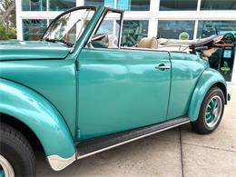 1971 Volkswagen Beetle (CC-2117492) for sale in Bradenton, Florida