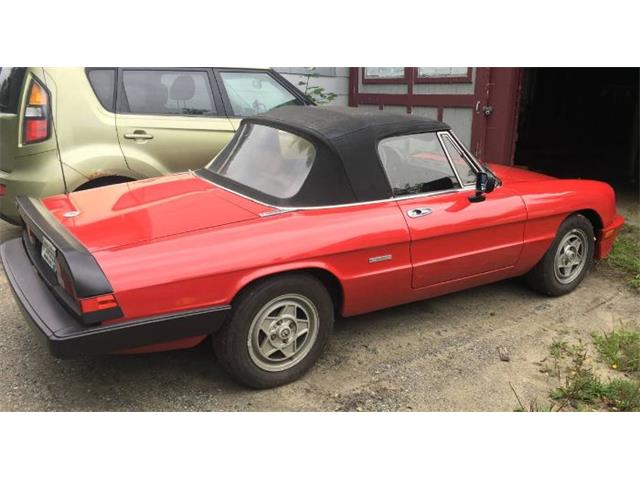 1987 Alfa Romeo Spider Veloce (CC-2110075) for sale in Cadillac, Michigan