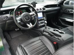 2023 Ford Mustang (CC-2117511) for sale in Palmetto, Florida