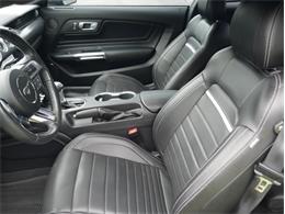 2023 Ford Mustang (CC-2117511) for sale in Palmetto, Florida