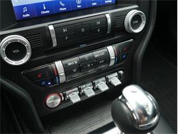 2023 Ford Mustang (CC-2117511) for sale in Palmetto, Florida