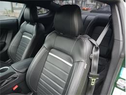 2023 Ford Mustang (CC-2117511) for sale in Palmetto, Florida