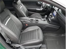 2023 Ford Mustang (CC-2117511) for sale in Palmetto, Florida