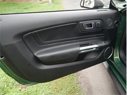 2023 Ford Mustang (CC-2117511) for sale in Palmetto, Florida