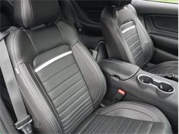 2023 Ford Mustang (CC-2117511) for sale in Palmetto, Florida