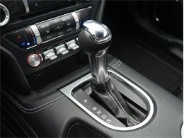2023 Ford Mustang (CC-2117511) for sale in Palmetto, Florida