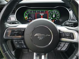 2023 Ford Mustang (CC-2117511) for sale in Palmetto, Florida