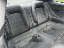 2023 Ford Mustang (CC-2117511) for sale in Palmetto, Florida