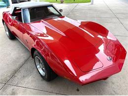1974 Chevrolet Corvette (CC-2117516) for sale in Bradenton, Florida