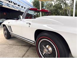1965 Chevrolet Corvette (CC-2117525) for sale in Bradenton, Florida