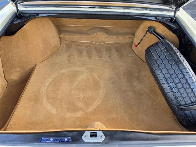 1967 Mercedes-Benz 250SE (CC-2117533) for sale in Cadillac, Michigan
