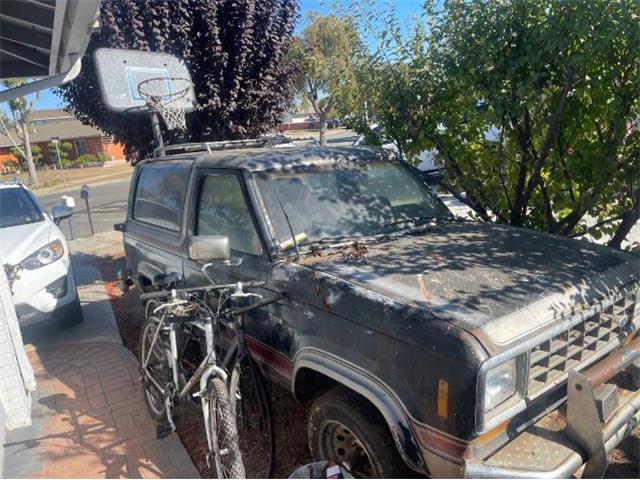 1985 Ford Bronco (CC-2110754) for sale in Cadillac, Michigan