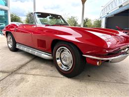 1967 Chevrolet Corvette (CC-2117541) for sale in Bradenton, Florida