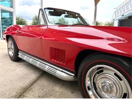 1967 Chevrolet Corvette (CC-2117541) for sale in Bradenton, Florida