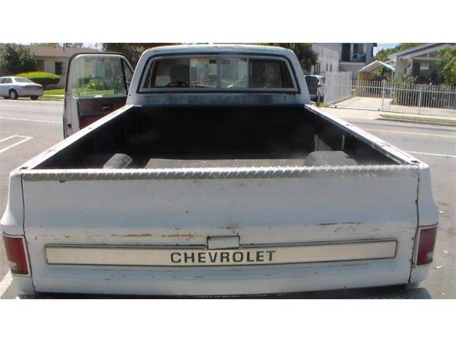 1976 Chevrolet C20 (CC-2117542) for sale in Cadillac, Michigan