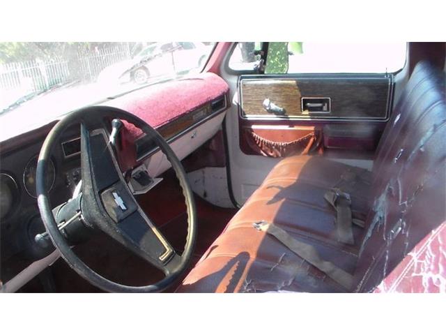 1976 Chevrolet C20 (CC-2117542) for sale in Cadillac, Michigan