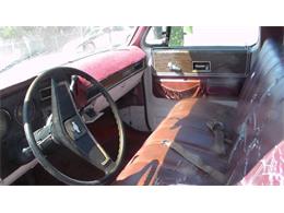 1976 Chevrolet C20 (CC-2117542) for sale in Cadillac, Michigan