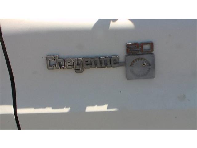 1976 Chevrolet C20 (CC-2117542) for sale in Cadillac, Michigan