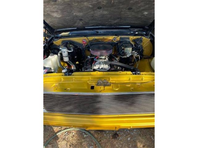 1985 Chevrolet C10 (CC-2110757) for sale in Cadillac, Michigan