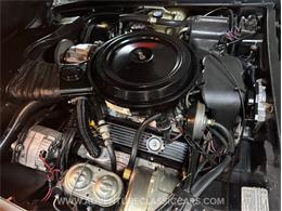 1978 Chevrolet Corvette (CC-2117607) for sale in Clearwater, Florida