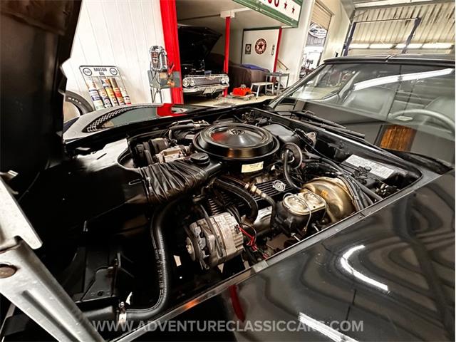 1978 Chevrolet Corvette (CC-2117607) for sale in Clearwater, Florida