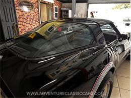 1978 Chevrolet Corvette (CC-2117607) for sale in Clearwater, Florida