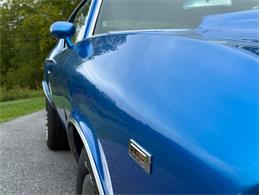 1969 Chevrolet Chevelle (CC-2117653) for sale in Orwigsburg, Pennsylvania
