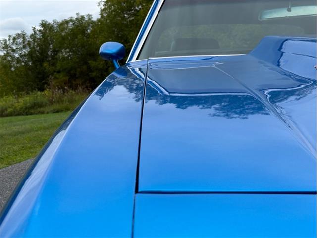 1969 Chevrolet Chevelle (CC-2117653) for sale in Orwigsburg, Pennsylvania