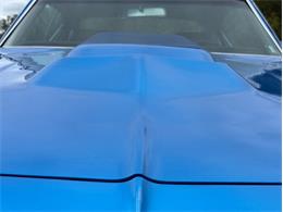 1969 Chevrolet Chevelle (CC-2117653) for sale in Orwigsburg, Pennsylvania