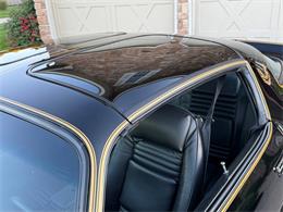 1978 Pontiac Firebird Trans Am (CC-2117672) for sale in Orrville, Ohio