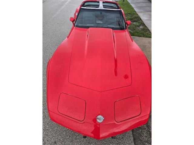 1978 Chevrolet Corvette (CC-2117787) for sale in Cadillac, Michigan