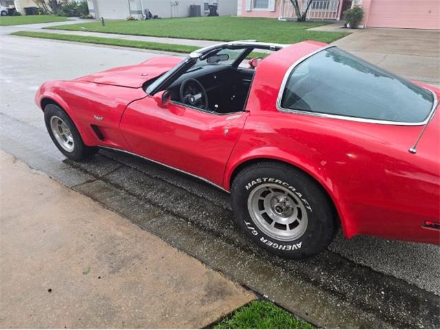 1978 Chevrolet Corvette (CC-2117787) for sale in Cadillac, Michigan