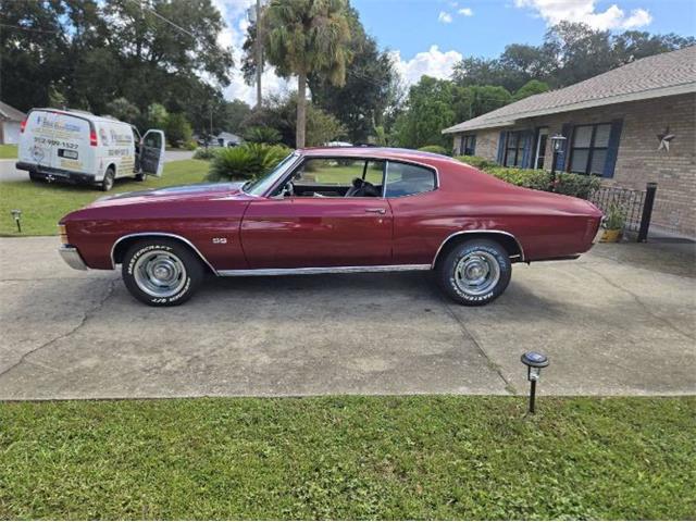 1971 Chevrolet Chevelle (CC-2117812) for sale in Cadillac, Michigan