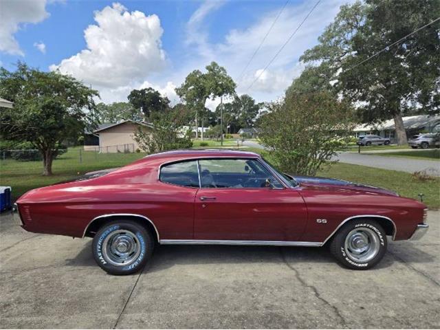 1971 Chevrolet Chevelle (CC-2117812) for sale in Cadillac, Michigan