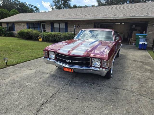 1971 Chevrolet Chevelle (CC-2117812) for sale in Cadillac, Michigan